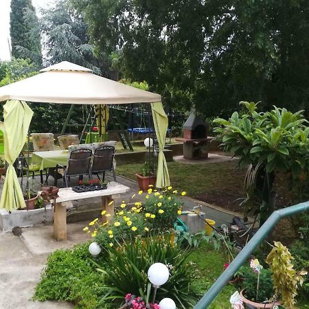 Apartment Mirana With Garden And Free Parking Zadar Zewnętrze zdjęcie