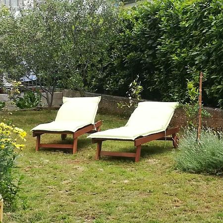 Apartment Mirana With Garden And Free Parking Zadar Zewnętrze zdjęcie