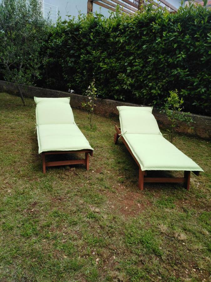 Apartment Mirana With Garden And Free Parking Zadar Zewnętrze zdjęcie